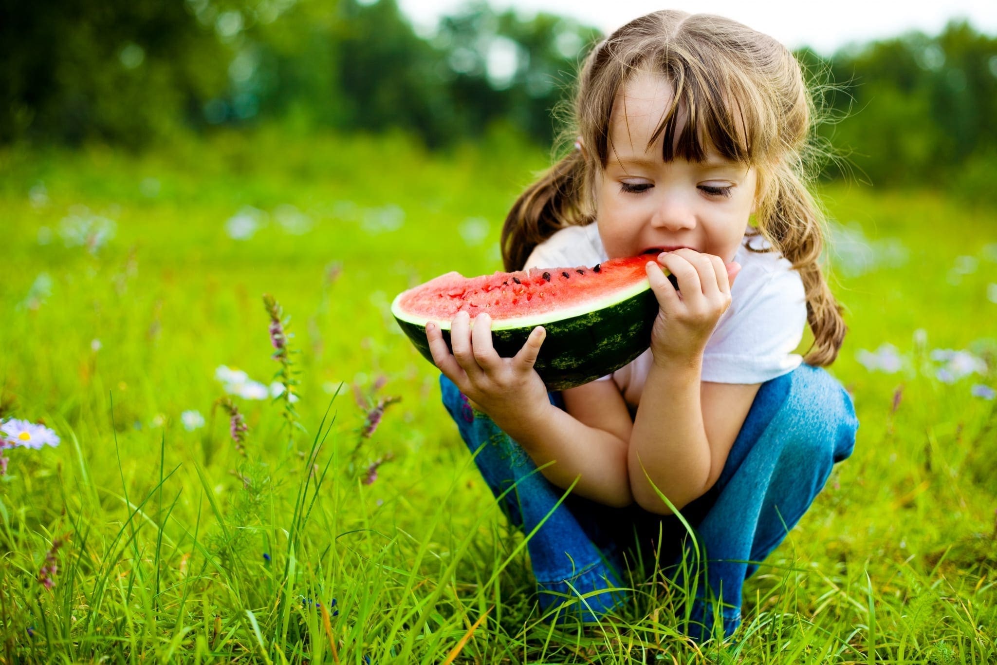 Certificate of Child Nutrition
