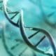genetics course