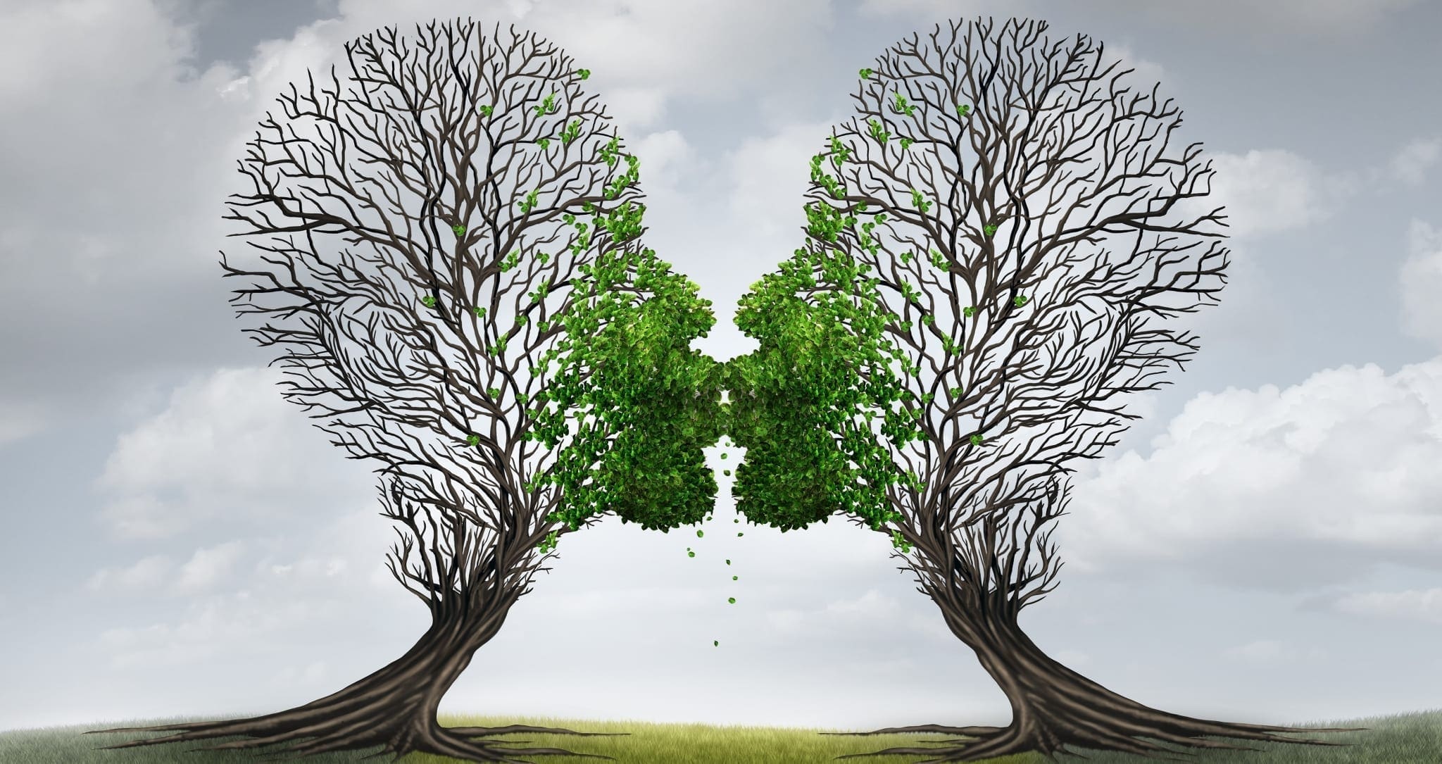 Certificate of Relationships and Communication Counselling