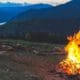 online bushcraft course