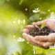 Environmental course