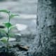 environmental assessment course