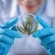 environmental chemistry course