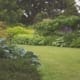 Home Gardening