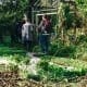 Home Vegetable Growing