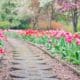 landscape design course