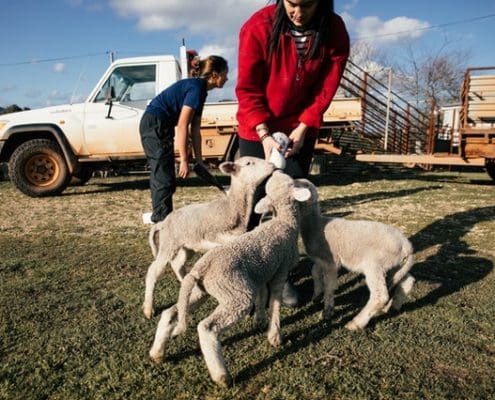 Agribusiness courses