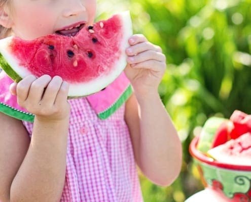 Cert of Child Nutrition blog