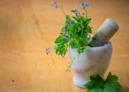 Cert of Herbal Medicine Blog scaled
