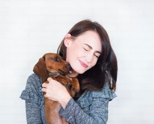 Cert of Pet Care
