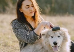 Certificate of Dog Care