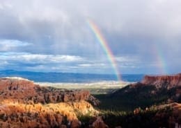 Certificate of Geology blog image