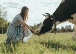 agricultural course dairy