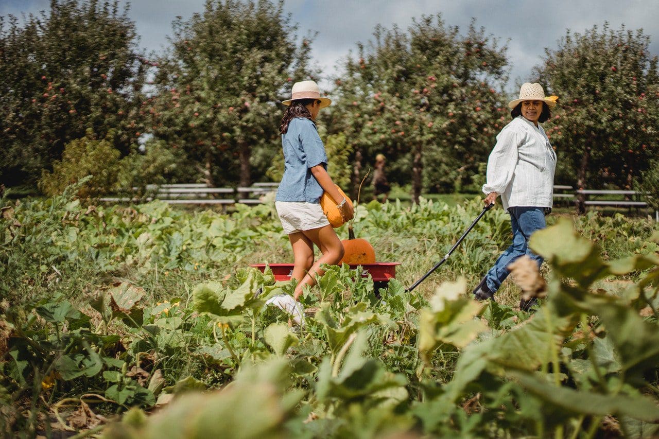Certificate of Alternative Farming