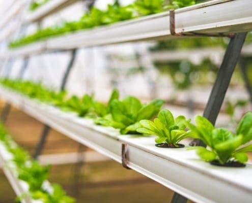 certificate of aquaponic production