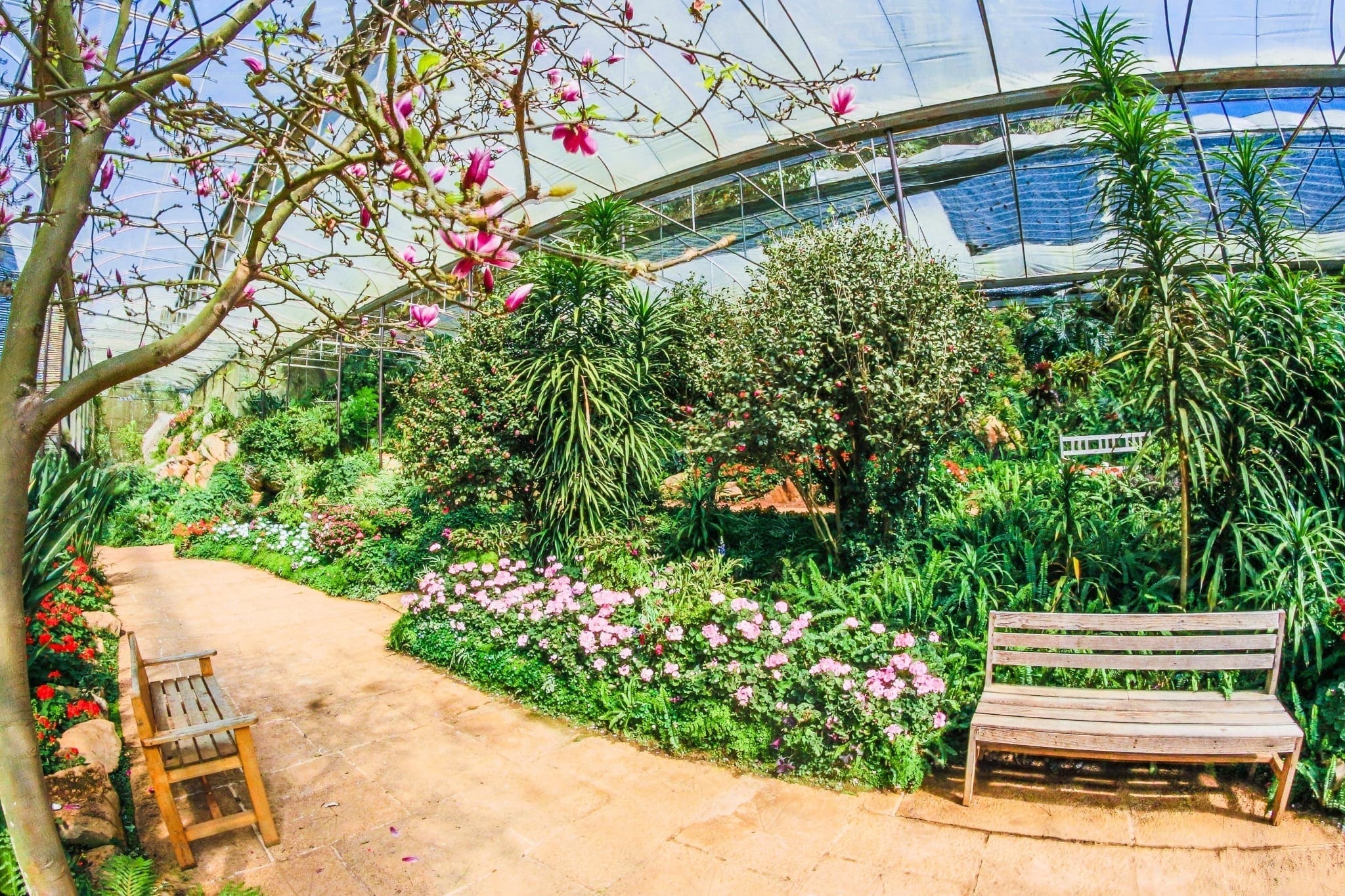 Certificate of Garden Maintenance