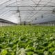 Greenhouse management course