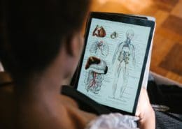 Online anatomy course