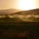 Irrigation course