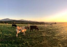 Pasture management course