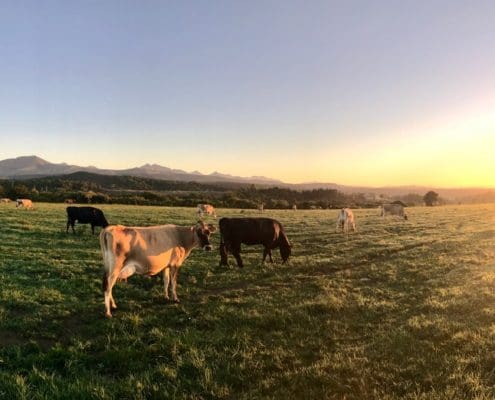 Pasture management course