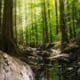 Plant conservation course